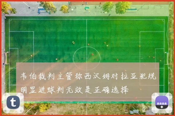 韦伯裁判主管称西汉姆对拉亚犯规明显进球判无效是正确选择