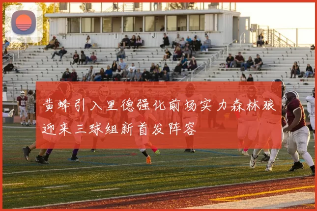 黄蜂引入里德强化前场实力森林狼迎来三球组新首发阵容